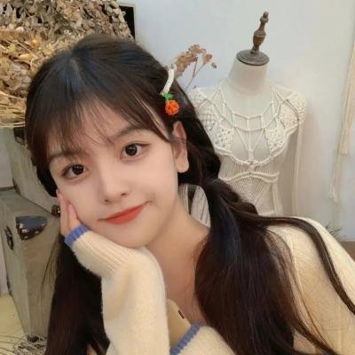 丑女大翻身之换脸游戏